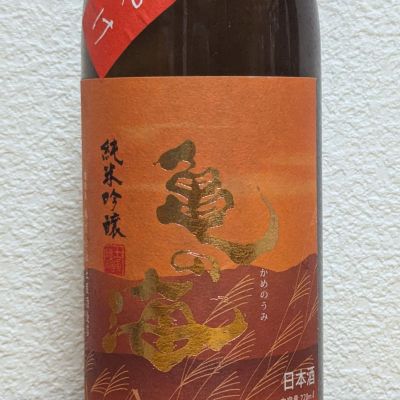 亀の海のレビュー by_悪食釣り師