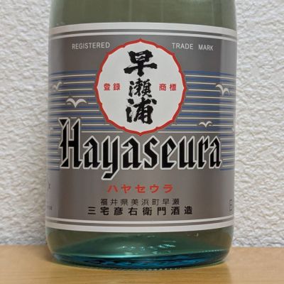 早瀬浦のレビュー by_悪食釣り師