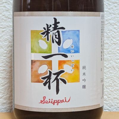 精一杯のレビュー by_悪食釣り師