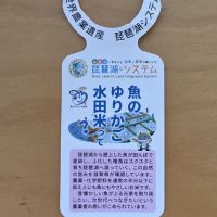 魚のゆりかご水田米のレビュー by_悪食釣り師