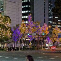 九頭龍のレビュー by_悪食釣り師