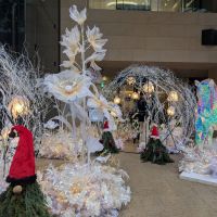 どんてんのレビュー by_悪食釣り師