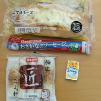 星取のレビュー by_悪食釣り師