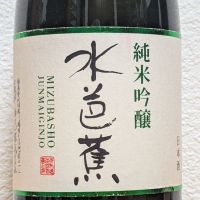 水芭蕉