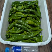 鷲の尾のレビュー by_悪食釣り師