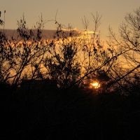 田酒のレビュー by_悪食釣り師