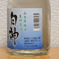 白神