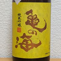 亀の海