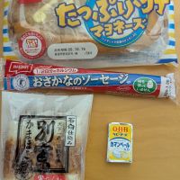 皇国晴のレビュー by_悪食釣り師