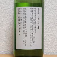 しこたまのレビュー by_悪食釣り師