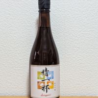 精一杯のレビュー by_悪食釣り師