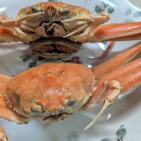 笑四季のレビュー by_悪食釣り師