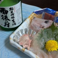 
            雨後の月_
            悪食釣り師さん