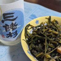 
            みむろ杉_
            悪食釣り師さん