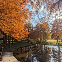 志太泉のレビュー by_悪食釣り師