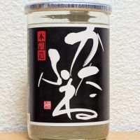 かたふね