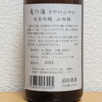 亀の海のレビュー by_悪食釣り師