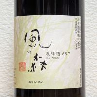 風の森