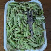おふしょあのレビュー by_悪食釣り師