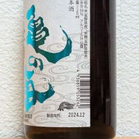 亀の海のレビュー by_悪食釣り師