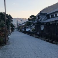 大原白梅のレビュー by_悪食釣り師