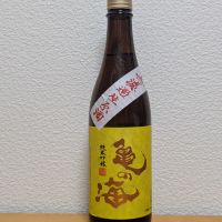 亀の海のレビュー by_悪食釣り師