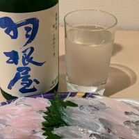 
            羽根屋_
            悪食釣り師さん