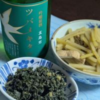 玄鳥至のレビュー by_悪食釣り師