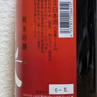 READY！LADY！READY！のレビュー by_悪食釣り師