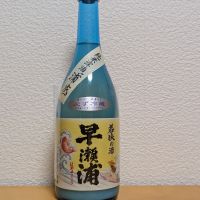 早瀬浦のレビュー by_悪食釣り師