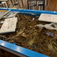 此君のレビュー by_悪食釣り師