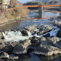 勝とう酒のレビュー by_悪食釣り師