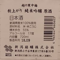 
            越の寒中梅_
            だだださん