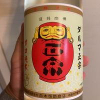 達磨正宗