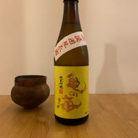 亀の海のレビュー by_みっちゃん