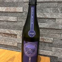 総乃寒菊