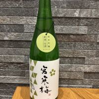 宮寒梅