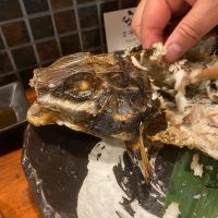 而今のレビュー by_たか