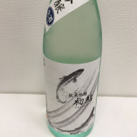 新潟県の酒