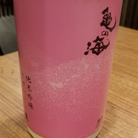 
            亀の海_
            kazuさん
