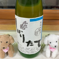 岐阜県の酒