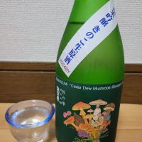 諏訪泉