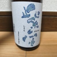紫宙