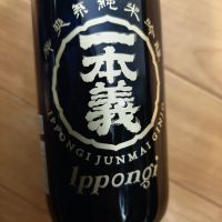 一本義