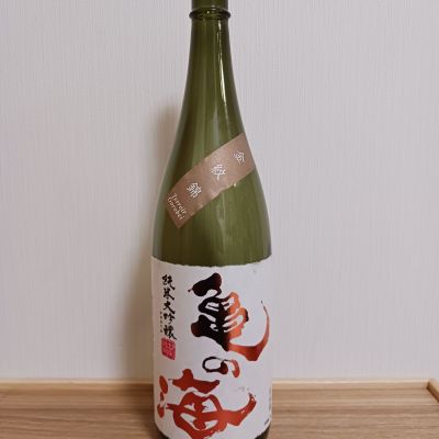 亀の海のレビュー by_のみすけ