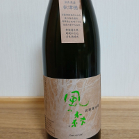 風の森