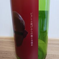 ビクトル投げからの膝十字固めのレビュー by_のみすけ
