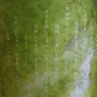 平井六右衛門のレビュー by_のみすけ