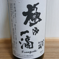 龍泉八重桜