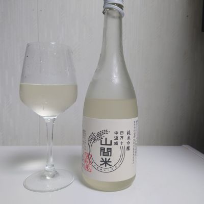山のレビュー by_コバチッチ
